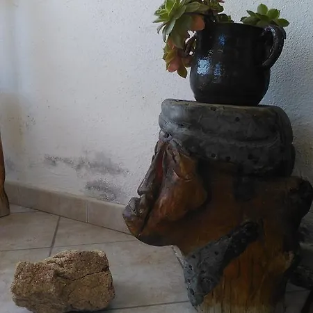Agriturismo Canu