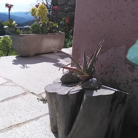 Agriturismo Canu فندق مبيت وإفطار