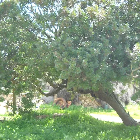 Frühstückspension Agriturismo Canu *