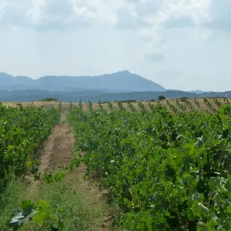 Agriturismo Canu Frühstückspension Luogosanto