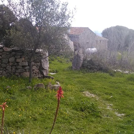 Alojamento de Acomodação e Pequeno-almoço Agriturismo Canu