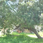 ベッド・アンド・ブレックファスト Agriturismo Canu *