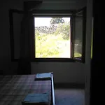 Agriturismo Canu *